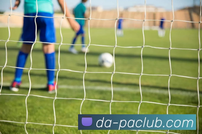 App Interface Preview